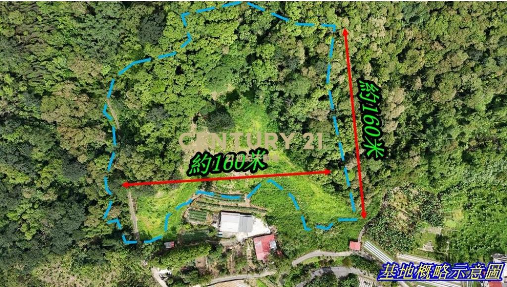 鹿谷土地-鹿谷2.4甲聚氣養生福地