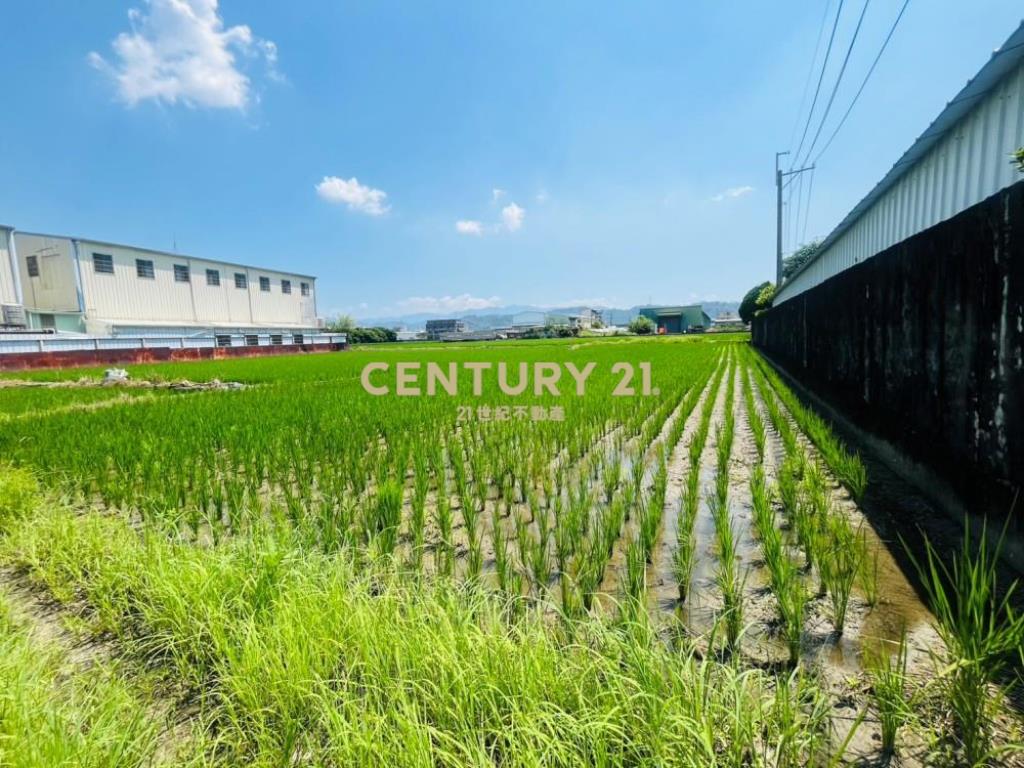 南投房屋-霧峰正新厝路742坪農建地