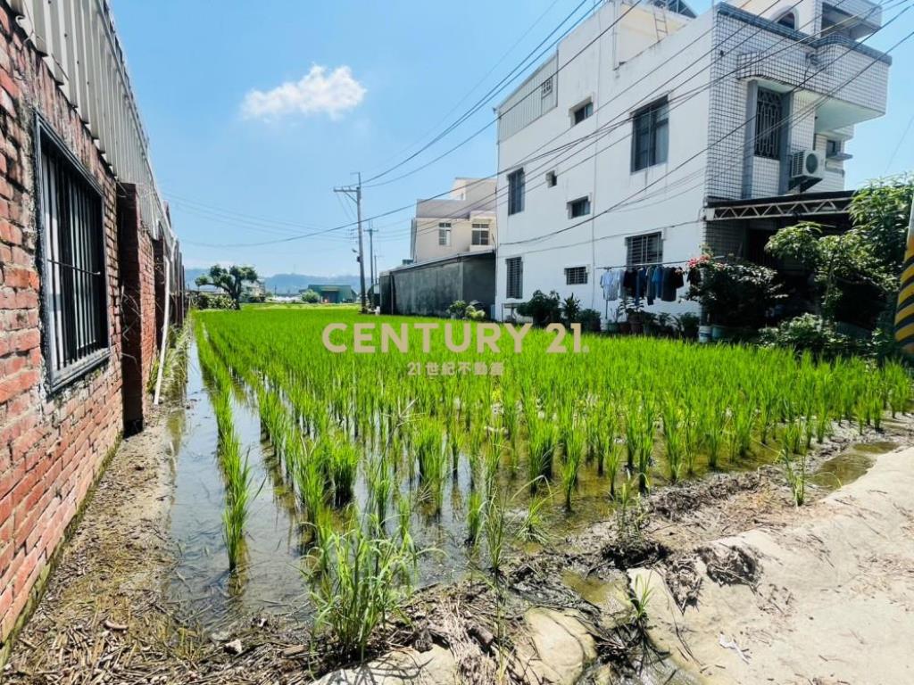 南投房屋-霧峰正新厝路742坪農建地