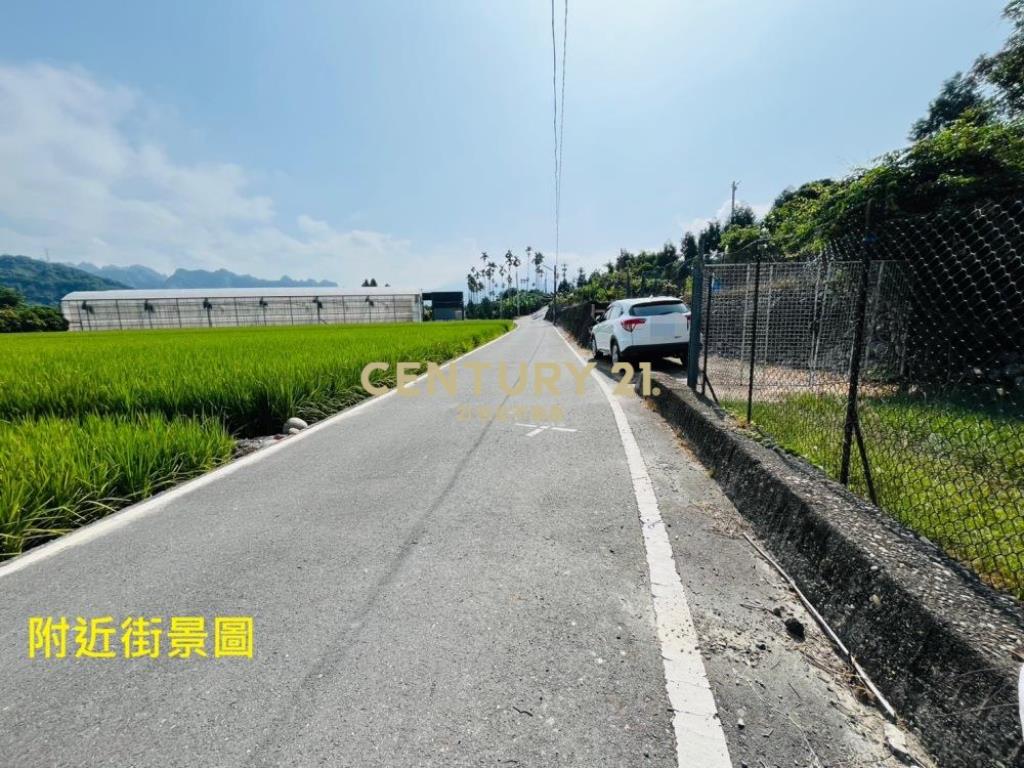 草屯土地-草屯鳥嘴潭797坪農地