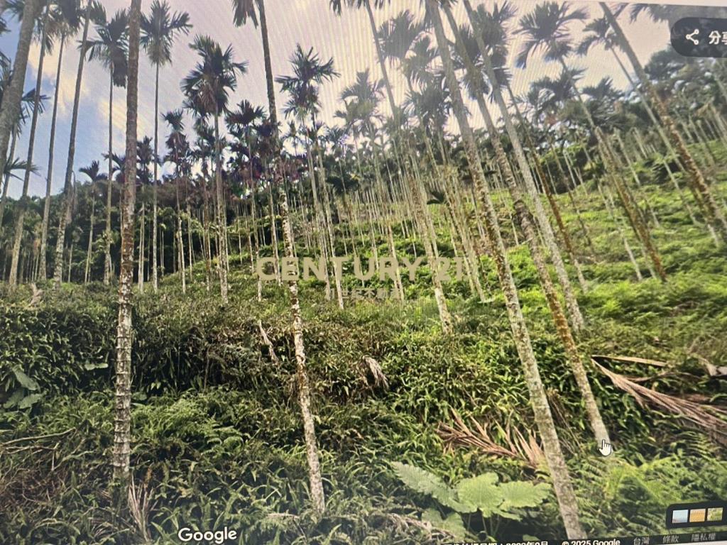 台中新社低總價投資農地