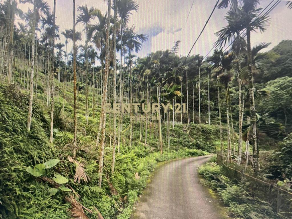 台中新社低總價投資農地