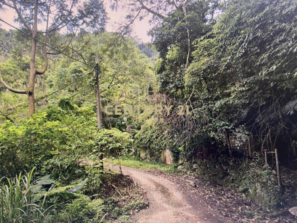 台中新社低總價投資農地