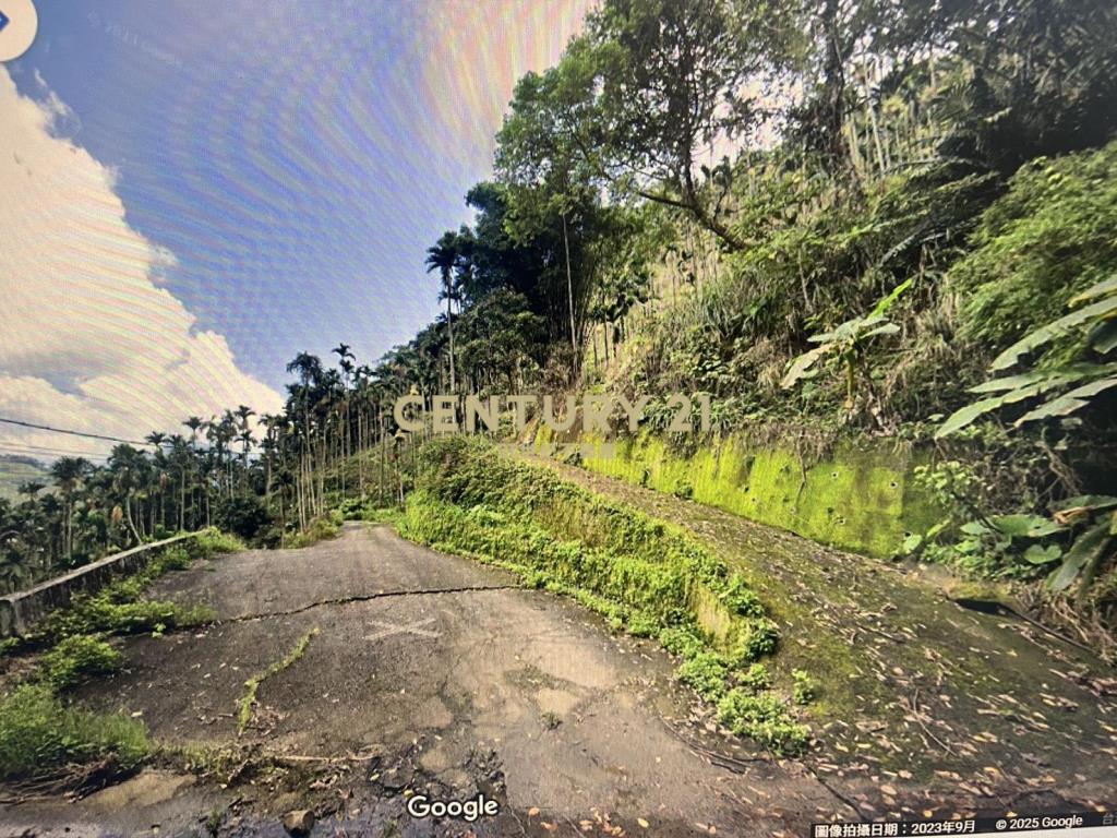 台中新社低總價投資農地