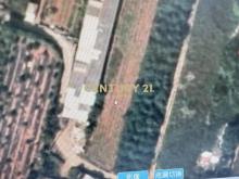 大肚區瑞井段持分農地281坪