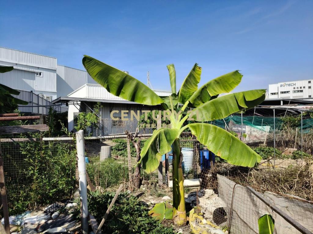 嶺東商圈優質農地稀有釋出