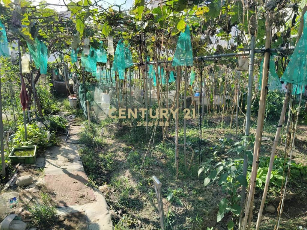 嶺東商圈優質農地稀有釋出