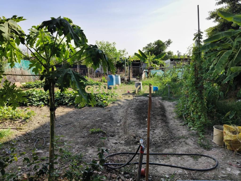 嶺東商圈優質農地稀有釋出