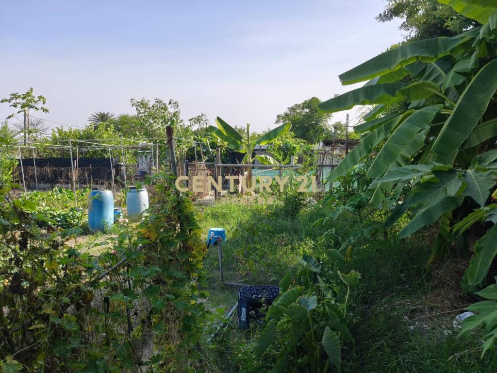 嶺東商圈優質農地稀有釋出