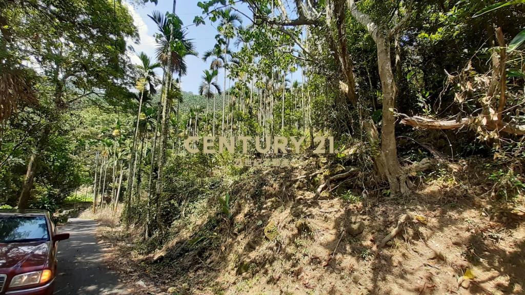 南投水里鄉農地