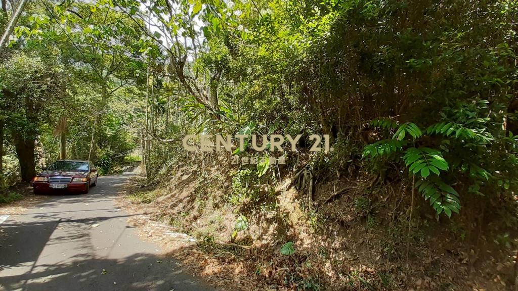 南投水里鄉農地