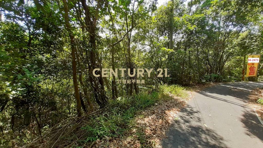 南投水里鄉農地