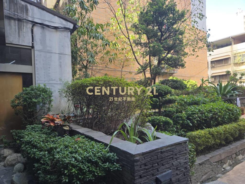 我愛龍邦三房平車