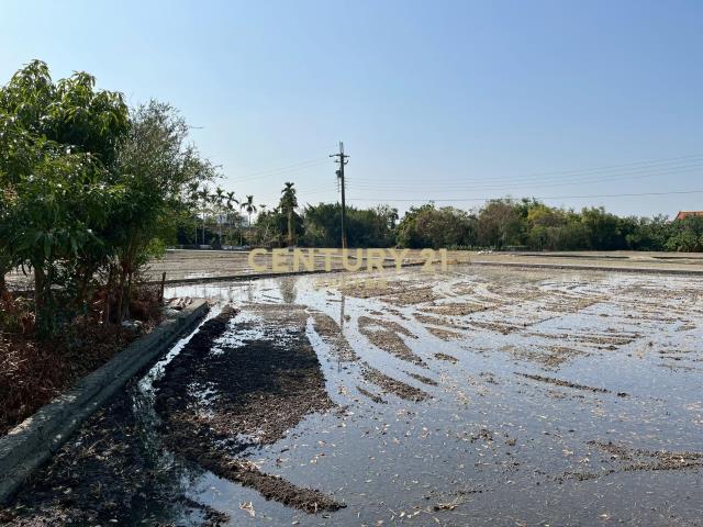 鎮南鎮安段農地