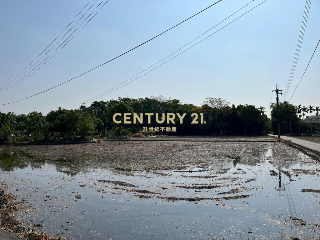 鎮南鎮安段農地