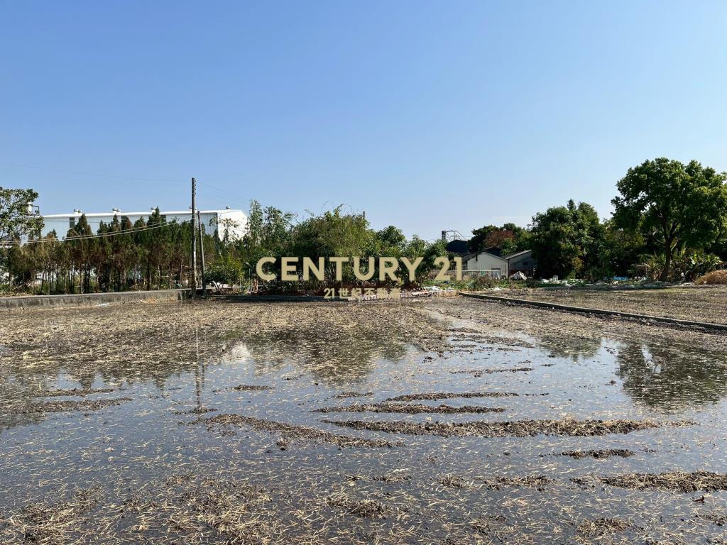 鎮南鎮安段農地