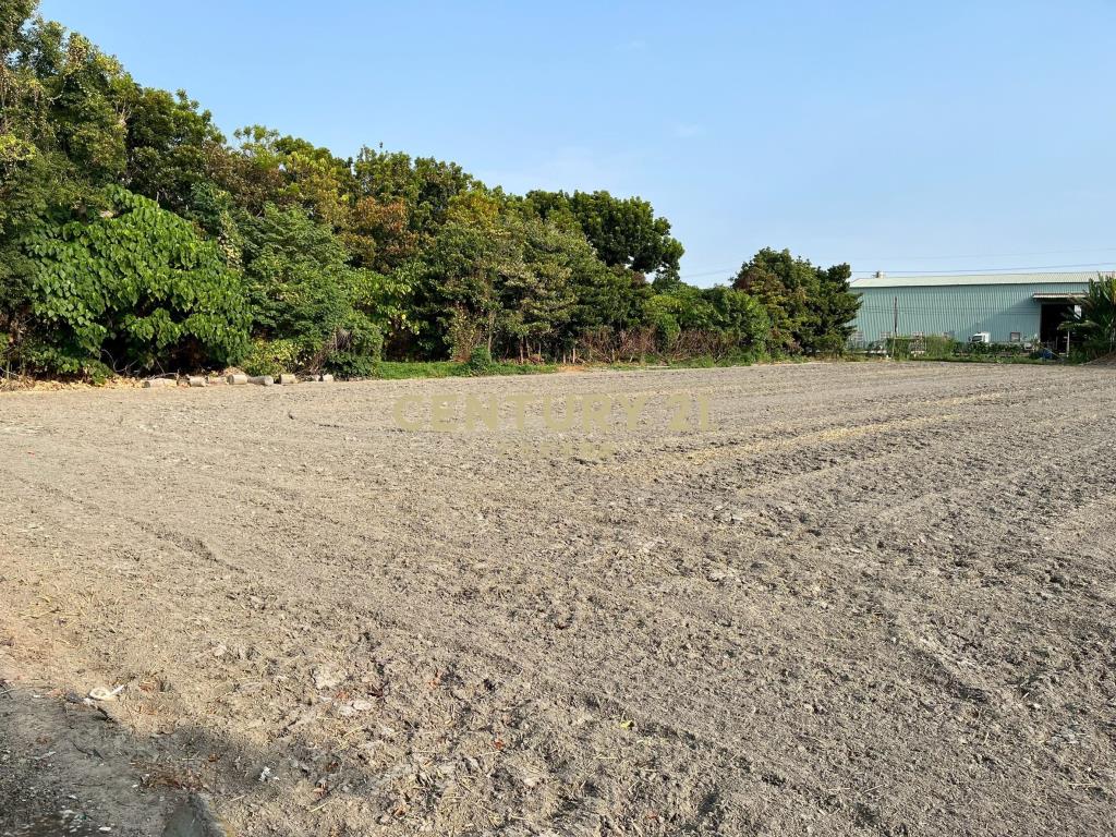 夏田產業園區土地