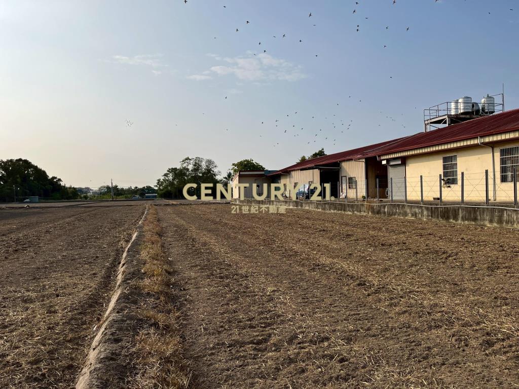 大里三期大里路農地