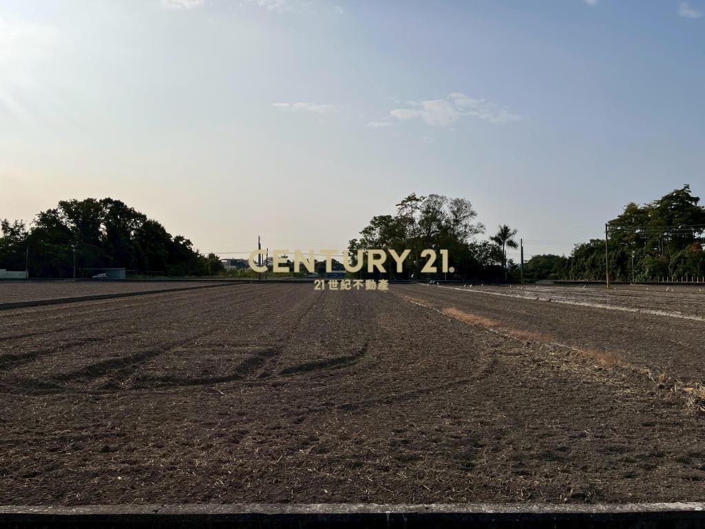 大里三期大里路農地