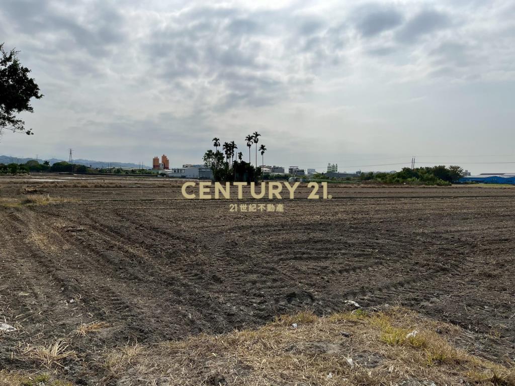 夏田產業園區農地(二)