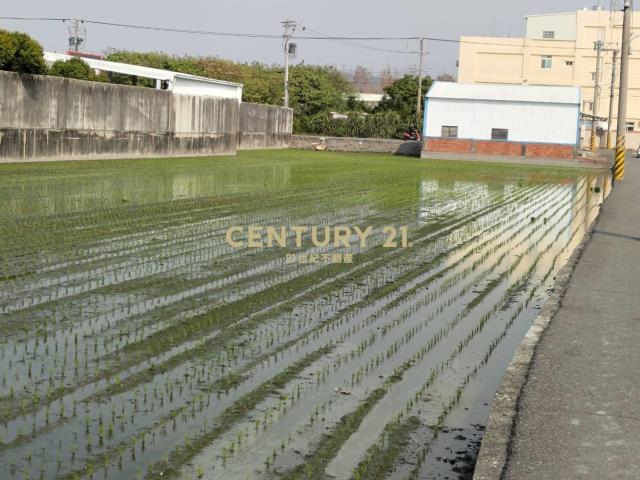 大村擺塘巷農地