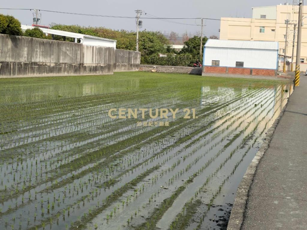 大村擺塘巷農地