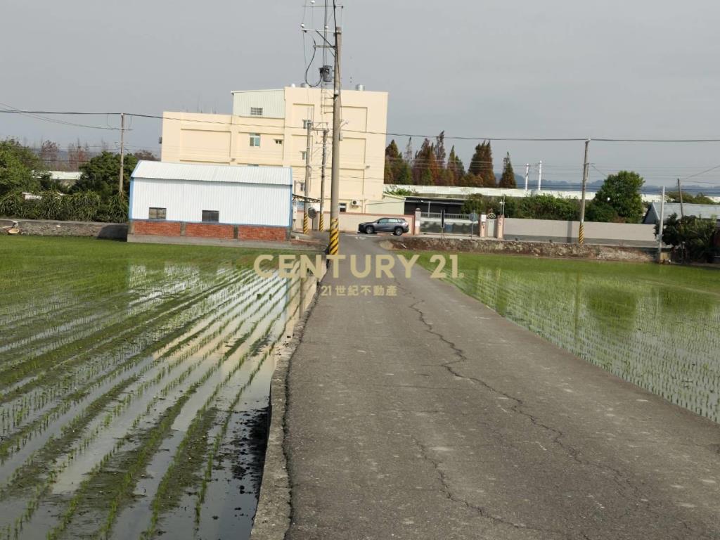 大村擺塘巷農地