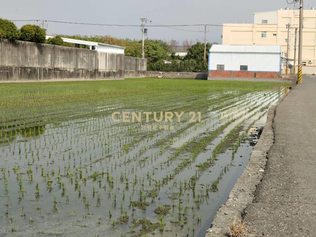 大村擺塘巷農地