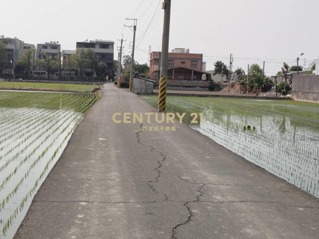 大村擺塘巷農地