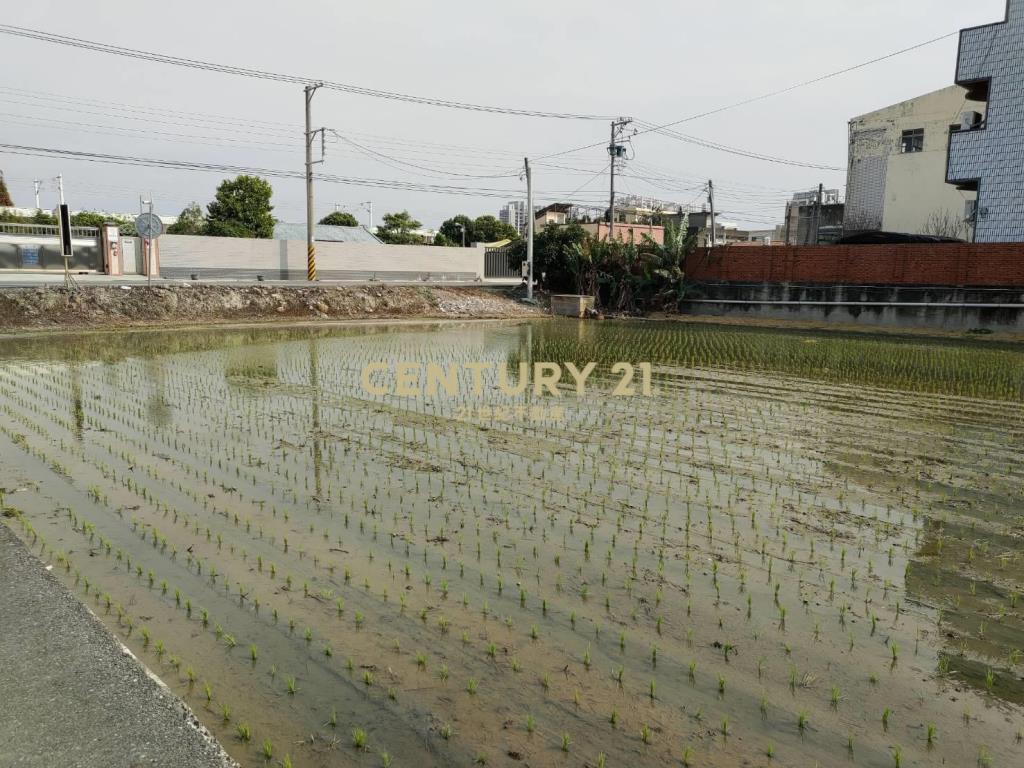 大村擺塘巷農地