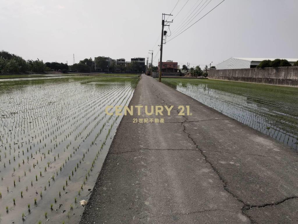 大村擺塘巷農地