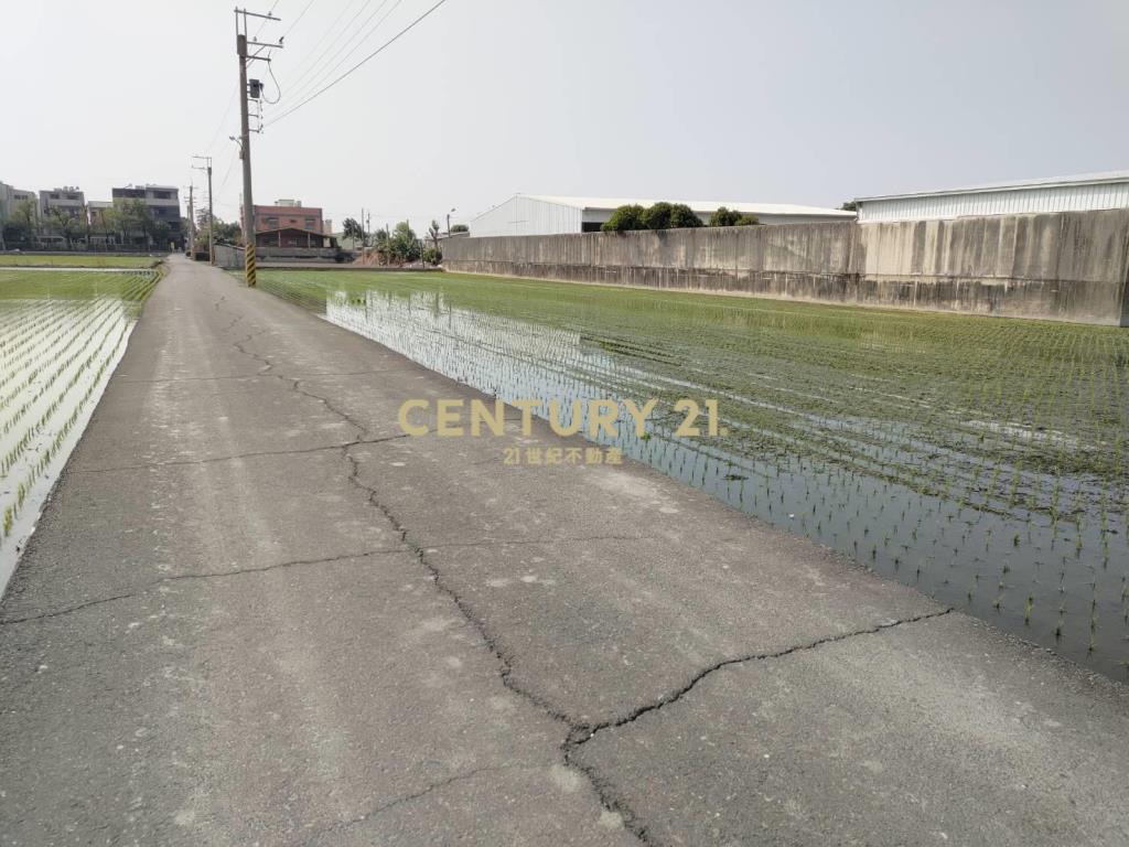 大村擺塘巷農地