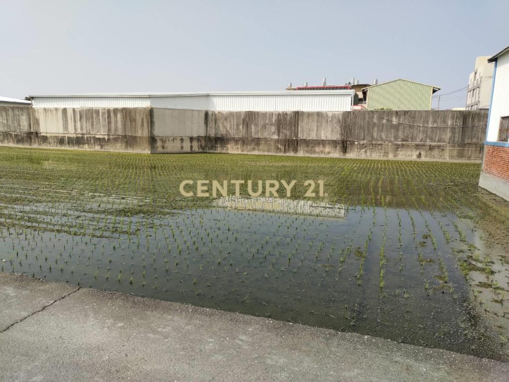 大村擺塘巷農地