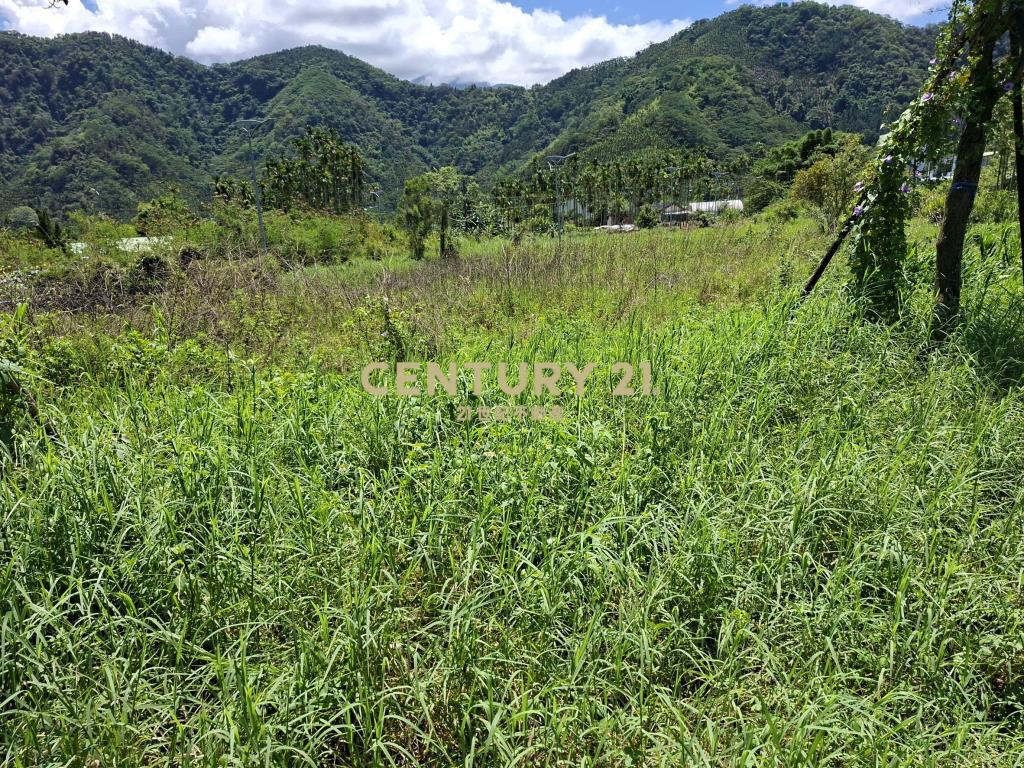 好山好水-頭社重劃區乙種建地