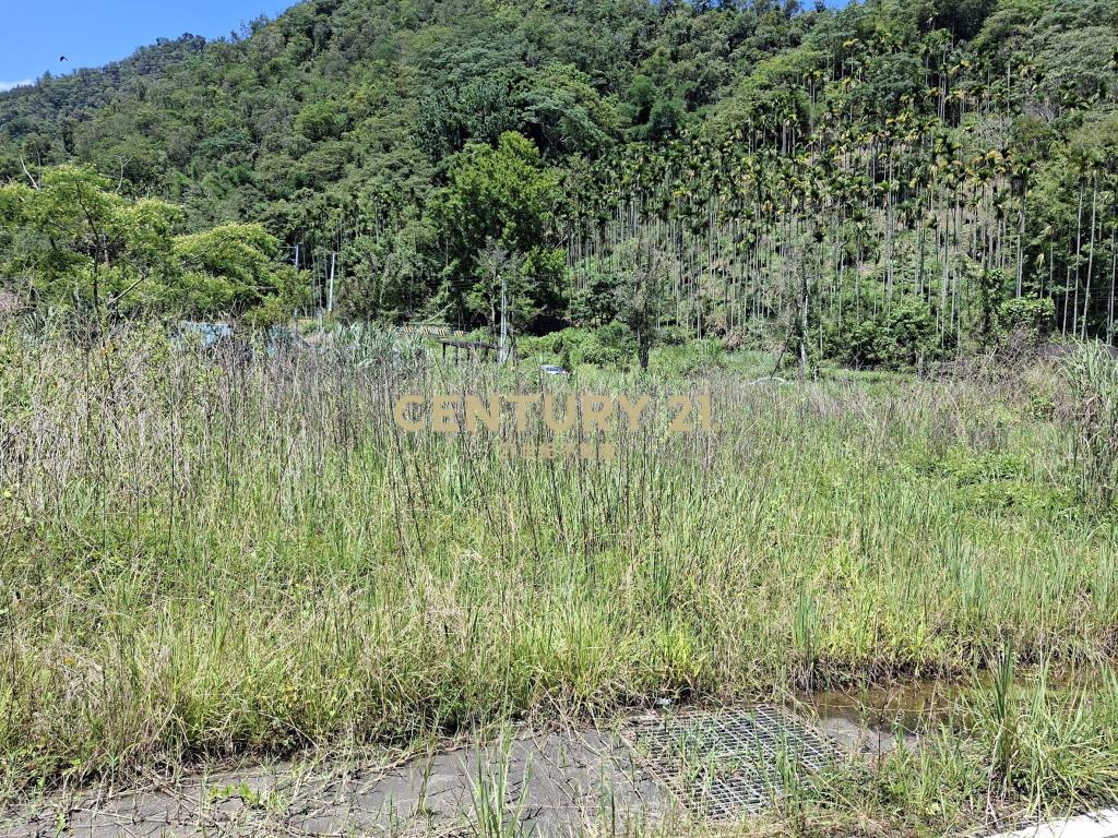 好山好水-頭社重劃區乙種建地