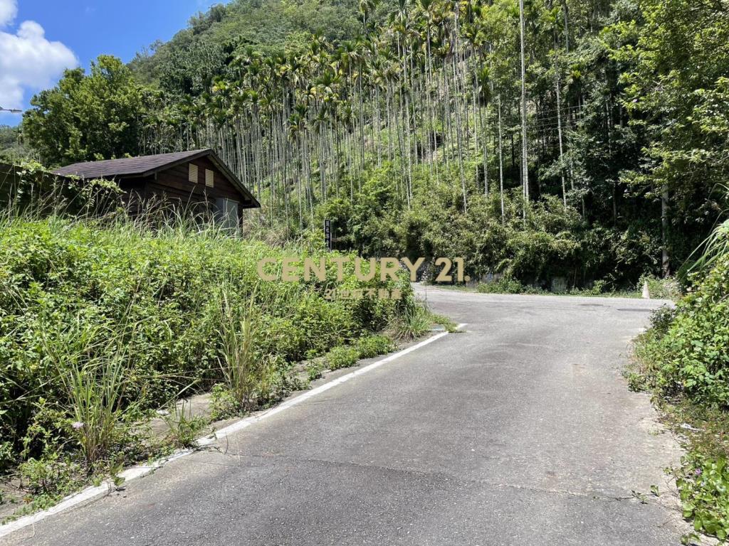 好山好水-頭社重劃區乙種建地