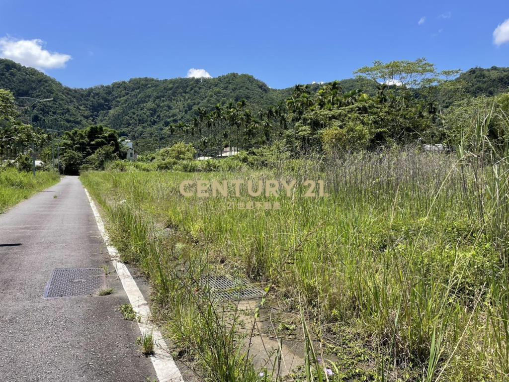好山好水-頭社重劃區乙種建地