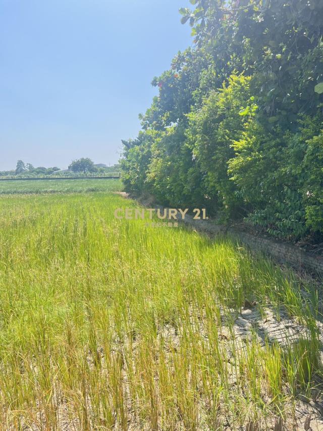 高速公路彰化交流道附近特定區計畫農地