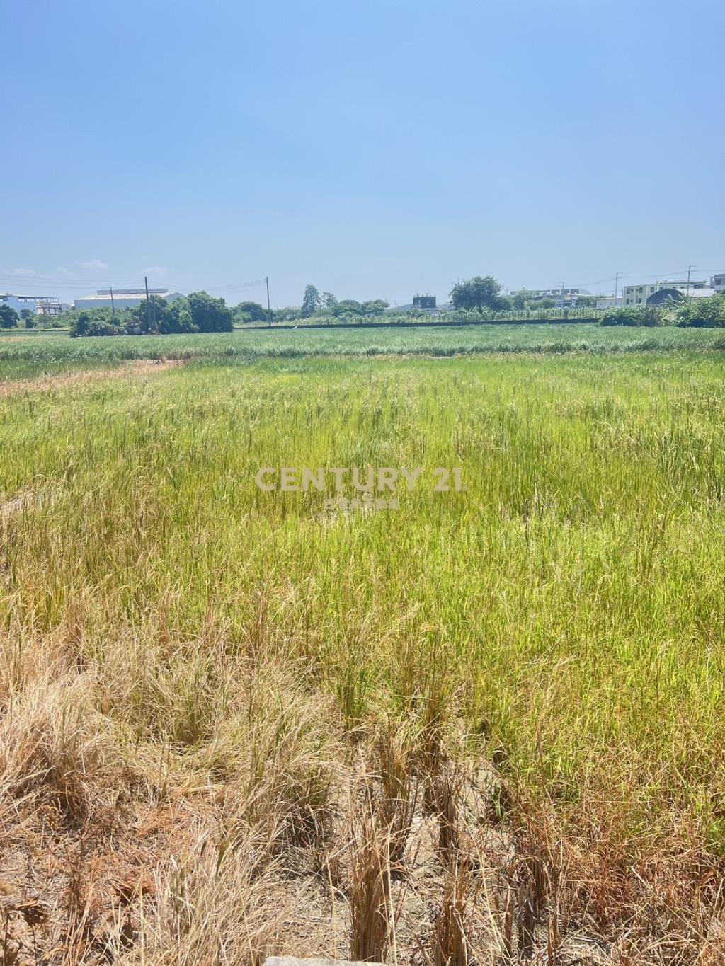 高速公路彰化交流道附近特定區計畫農地