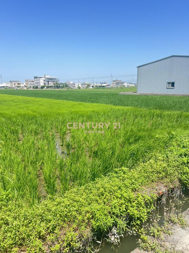 彰化交流道特定區｜口庄段都內優質農地｜交