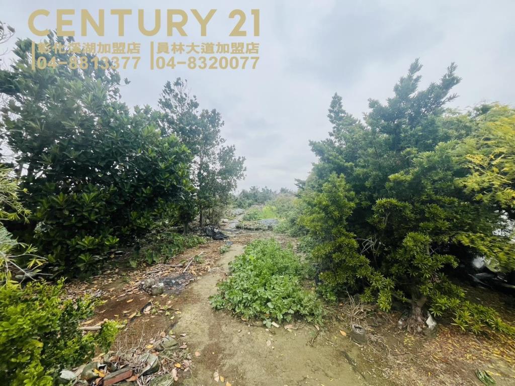 埔鹽近彰水路方正美田