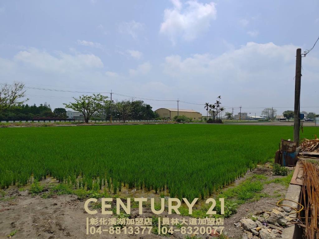 埔鹽近成功一路美田