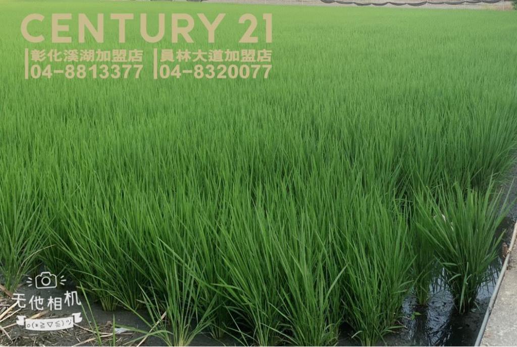 溪湖交流道特定區都計田