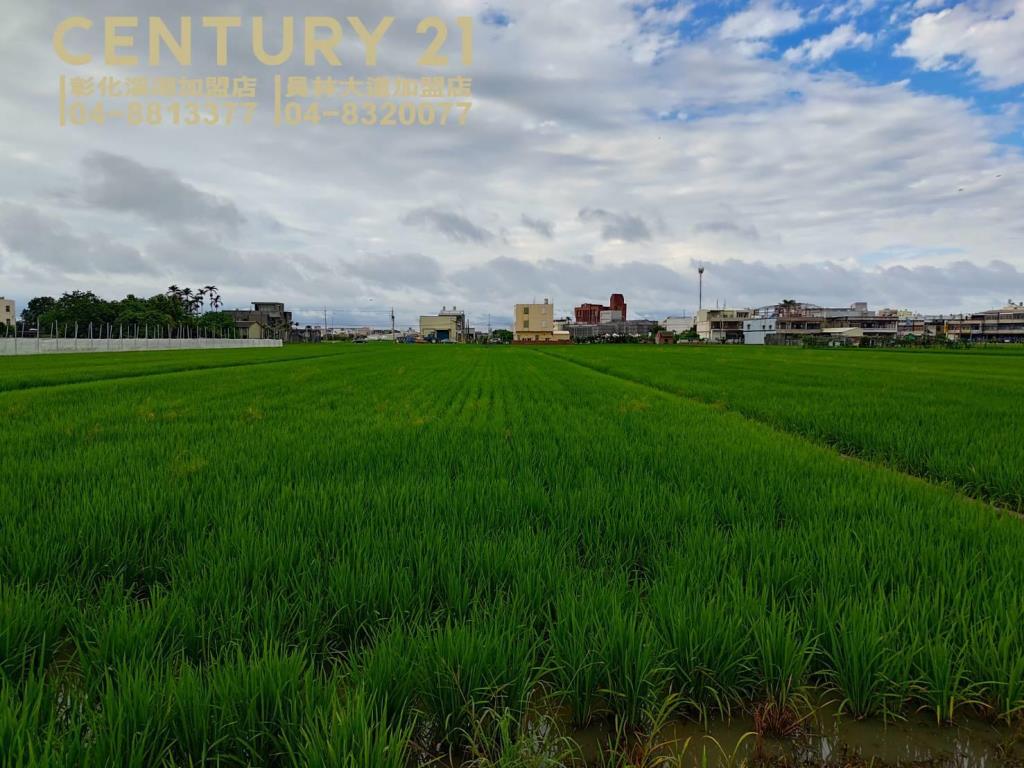 埔鹽新生路方正美田