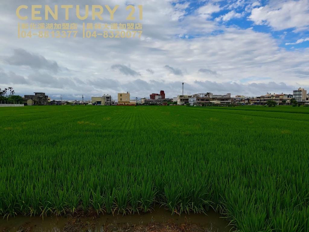 埔鹽新生路方正美田