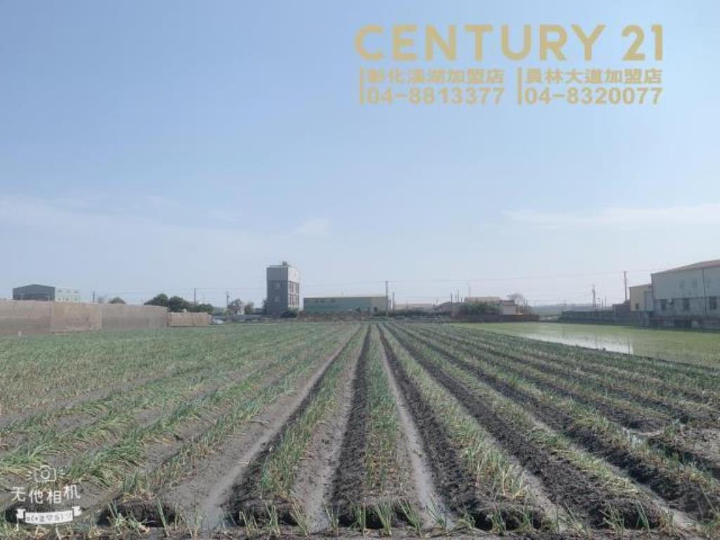 溪湖河興路雙面路美田