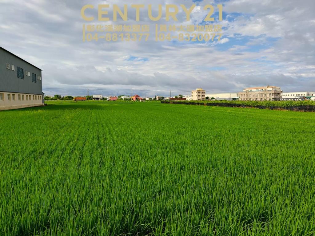 埔鹽國中旁都內美田