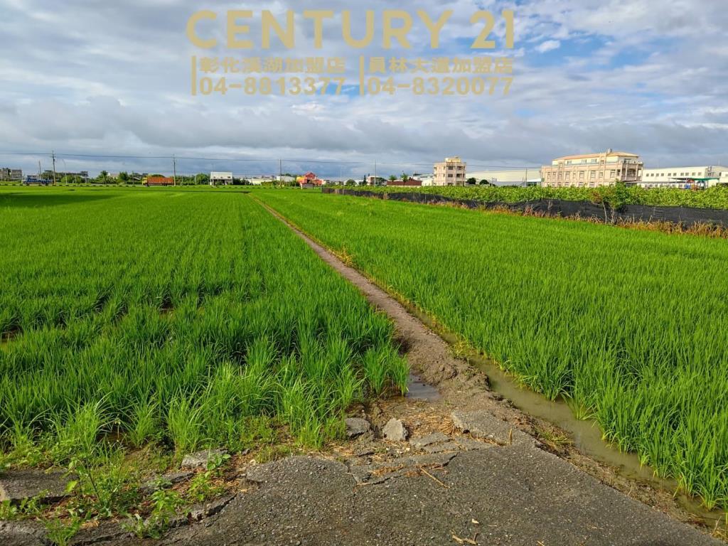 埔鹽國中旁都內美田