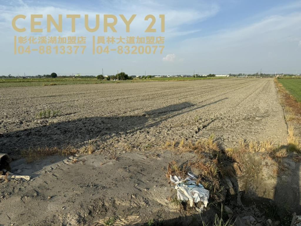 二林柳子溝大塊美田