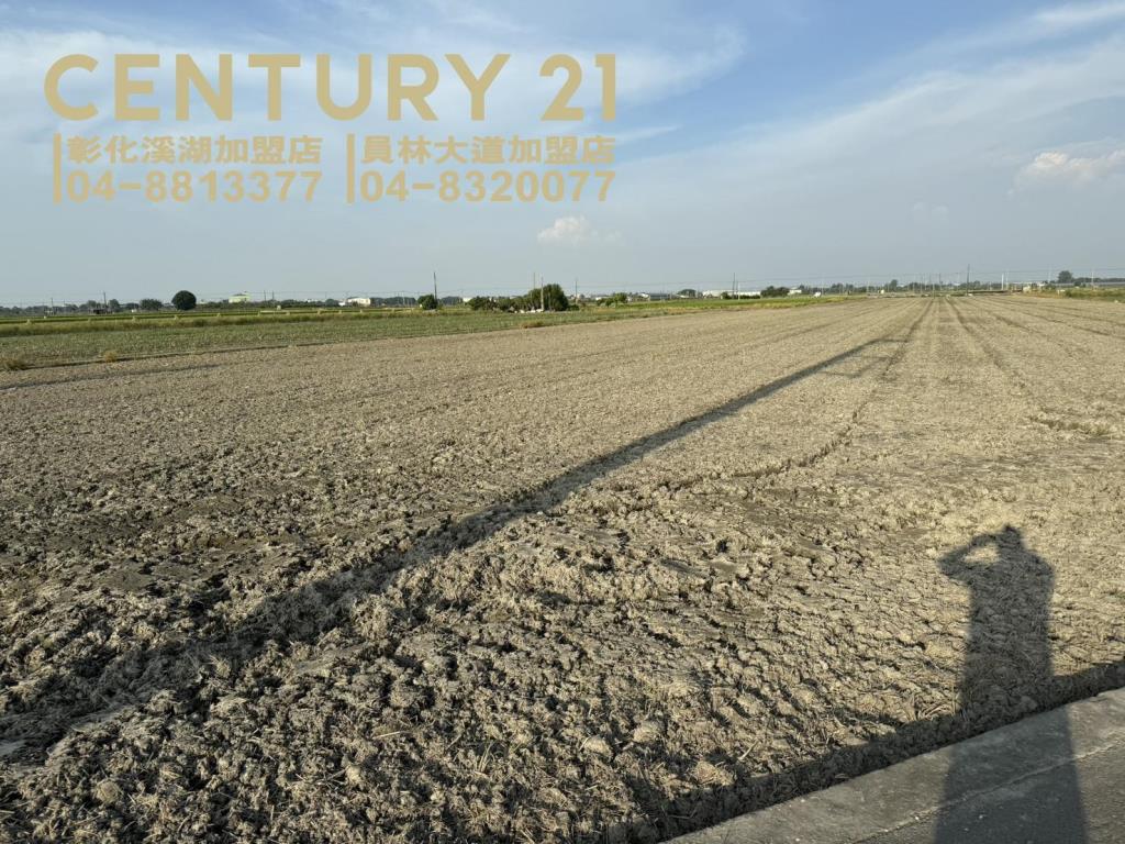 二林柳子溝大塊美田